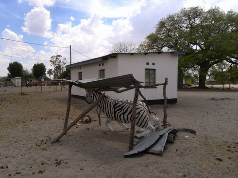 GHA house with zebra sculpture