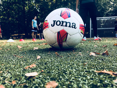 Futsal auf Kunstrasen beim Trainingslager der Futsalicious Essen Ladies in Essen-Werden (Foto: Fritz)