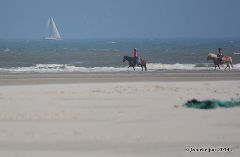 Noordzeestrand