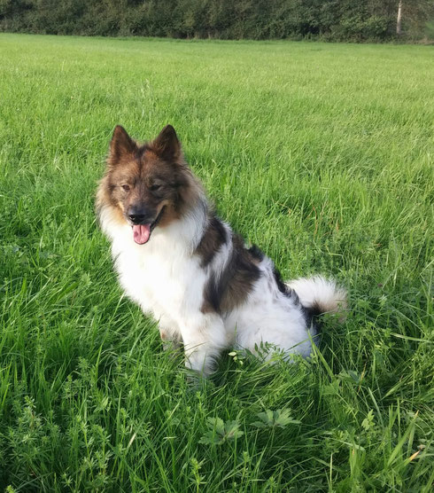 hier auch mal ein Bild von Ashanti