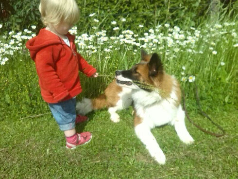 Balino kann gut zuhören!
