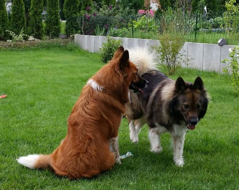 Alina und Baduni, die beiden Erstgeborenen sind sich sooo ähnlich!