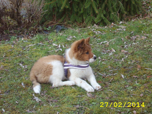 Belisha in ihrem Garten