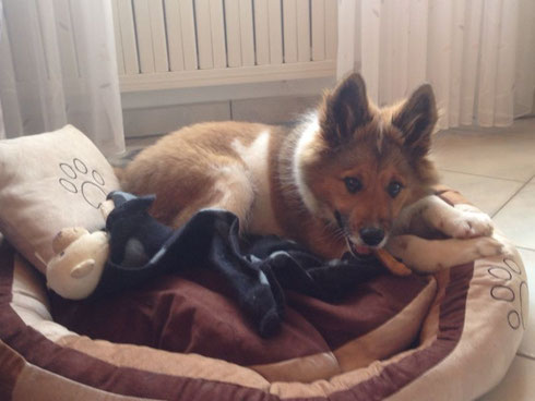 Binkas, Bett, Decke und Knochen!