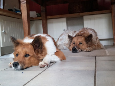 Binka macht Siesta mit Mama!