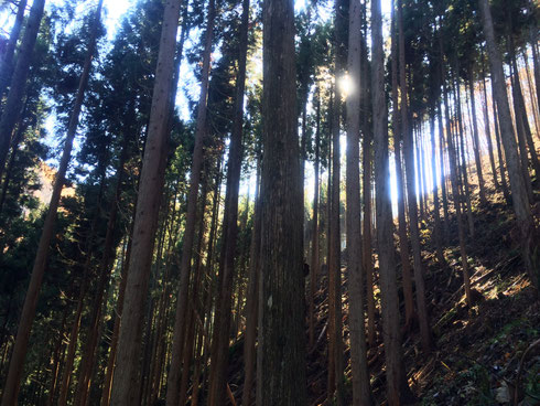 高山市不動産会社洞口工務店お洒落人気高山市土地物件建築新築リフォーム店舗改装管理会社高山市人気不動産屋洞口工務店建築リフォーム飛騨高山市国府丹生川日本建築和風在来工法木造住宅建築工務店施工事例住宅設計洞口ほらぐちhoragutihoraguchi和風住宅住まい新築木造軸組土木建設売地分譲宅地住宅在来工法建物土地岐阜飛騨高山国府丹生川古川神岡白川村清見上宝奥飛騨リフォーム増改築道路工事河川工事土木建設宅地造成不動産売買飛騨の匠匠の技不動産売買不動産仲介不動産賃貸不動産管理飛騨高山桧杉間伐伐採