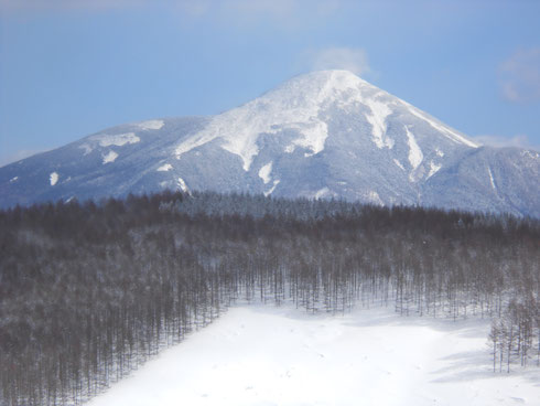 霧ヶ峰カボッチョ(山名)から見た美しい蓼科山