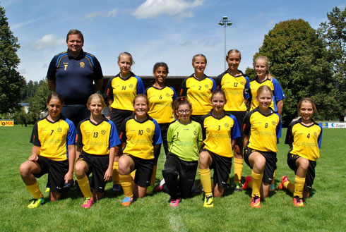 Juniorinnen D, Saison 2014/2015