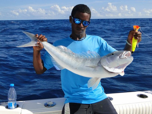 Seychelles fishing Jobfish Sandro Jan. 2014