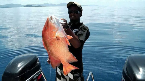 Seychellen angeln Grundangeln Snapper