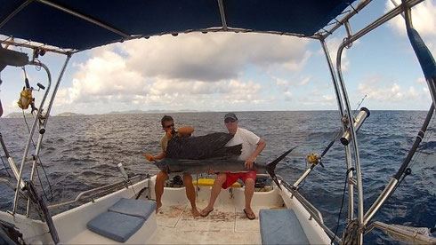 Seychelles fishing Sailfish before release Oct 2013