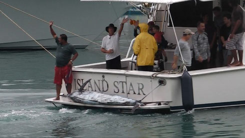 Seychelles fishing winning Marlin Jan. 2014