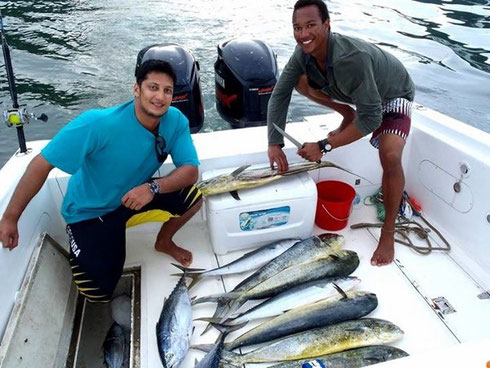 Seychelles fishing tournament catch Dec. 2013