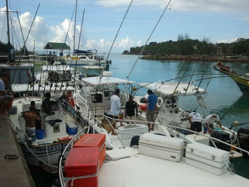 Seychellen angeln La Digue Boote vor Turnier Okt. 2013