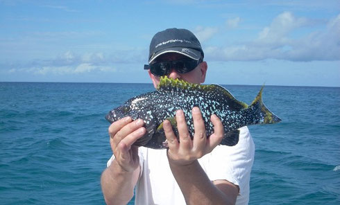 Seychellen angeln hübscher Grouper Okt. 2013