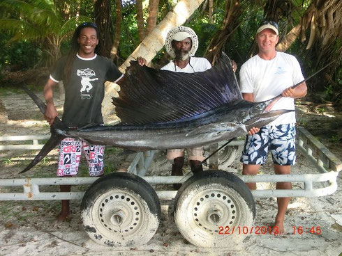 Seychellen angeln Segelfisch Präsentation Okt. 2013