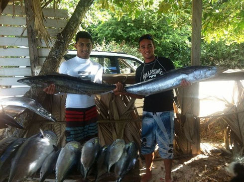 seychelles-fishing reports & information - Seychelles fishing - reports &  information - Seychellen angeln