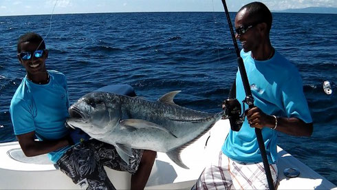 Seychellen angeln Giant Trevally Dez. 2014