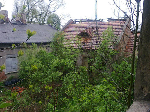 Widok z kamienicy na opuszczony dom