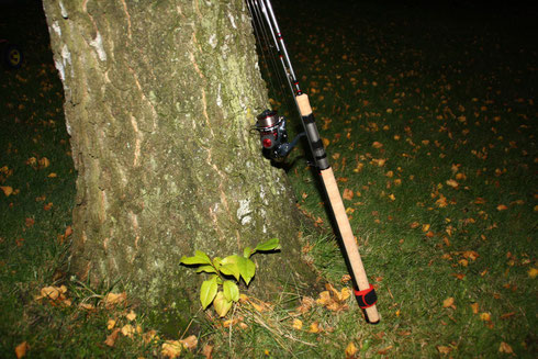 Batson Rainshadow XST 1142F Meerforellenrute  Northtackle  Rutenbau Rutenbauwerkstatt Rodbuilding