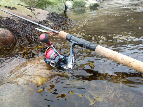 Shimano Stradic Ci4 + Batson XST 1142F, 9,6ft Batson Rainshadow XST 1142F Meerforellenrute  Northtackle  Rutenbau Rutenbauwerkstatt Rodbuilding