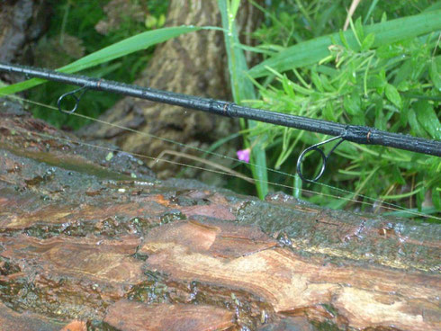 CTS CST Seatrout Spin 3,20 m WG 5-25 g Spitzenteil Rutenbau