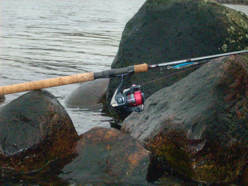 Batson Enterprises, Fuji DPS, PacBay, SV Minima, Korkgriff, Meerforelle, Stradic Ci4, Shimano Batson Rainshadow XST 1142F Meerforellenrute  Northtackle  Rutenbau Rutenbauwerkstatt Rodbuilding