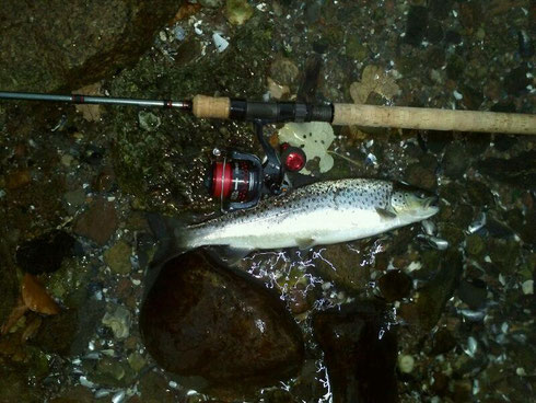 Batson Enterprises, Fuji DPS, PacBay, SV Minima, Korkgriff, Meerforelle, Stradic Ci4, Shimano Batson Rainshadow XST 1142F Meerforellenrute  Northtackle  Rutenbau Rutenbauwerkstatt Rodbuilding