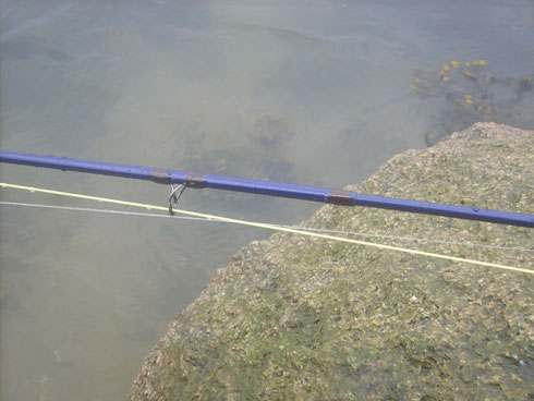 CTS Affinity X #6 9ft Ring + Steckverbindungs Wicklung Rutenbau