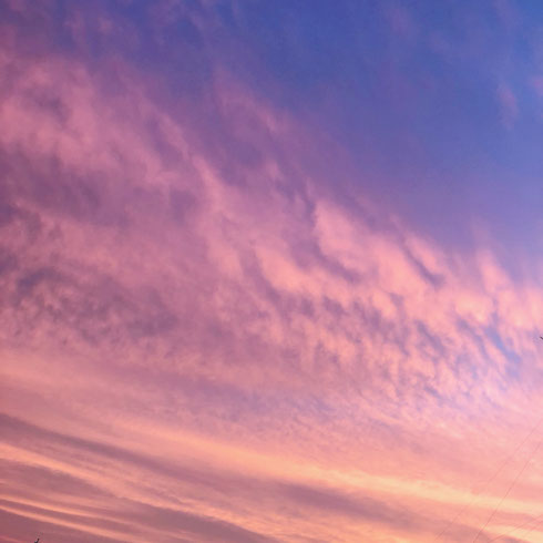 こちらは、マヤ暦の元旦に見られたバラ色の夕陽と雲。 アルガンザジェネシスヒーリング™️のストーリーでは、アトランティスの金星ソフィアを失ったエルフたちのシーンで印象的に現れます。   大切なものを失った喪失感を癒してくれるような美しい空でした。