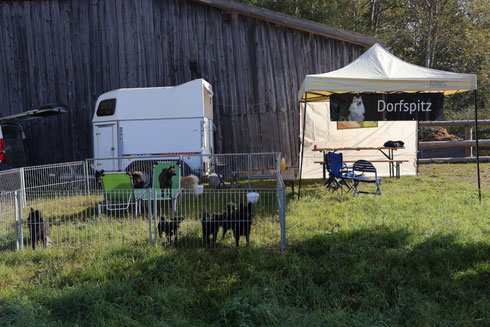 Neusath Perschen 2023 am 01.Oktober. Wir waren dabei.