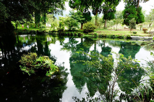 明神池の湧き水だよ。安産にいいお水なんだって