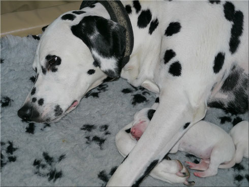 Unsere kleine Plattenlady in den Armen ihrer Mama...