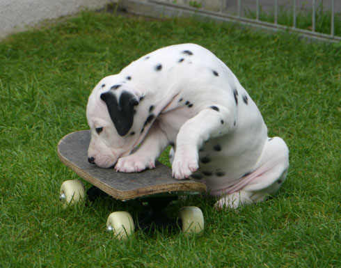 Frau Blau liebt das Skateboard - und Hella !!!