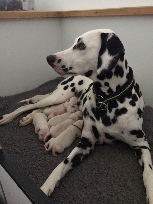 Die stolze Mama...