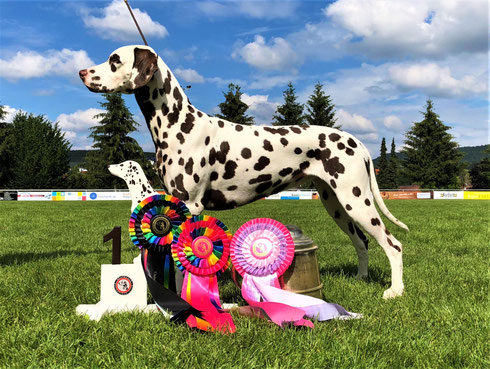 BOB und DDC-Clubsiegerin 2018