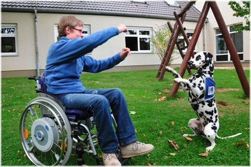 Mo zeigt auf Kommando verschiedene Kunststückchen