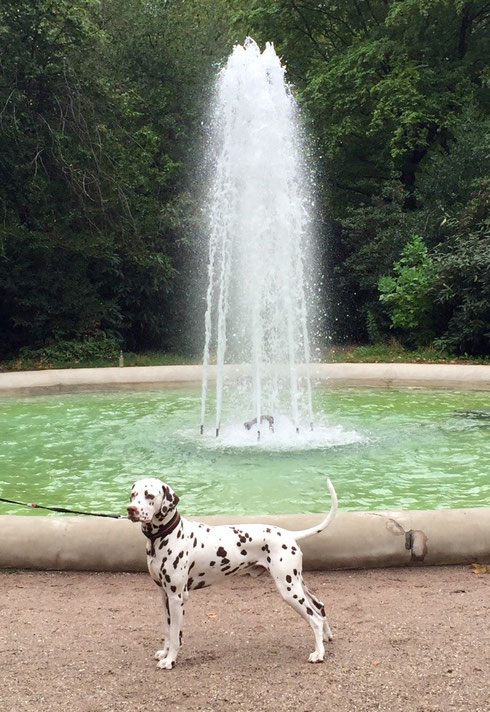 Anton besucht Speyer im Sommer 2015