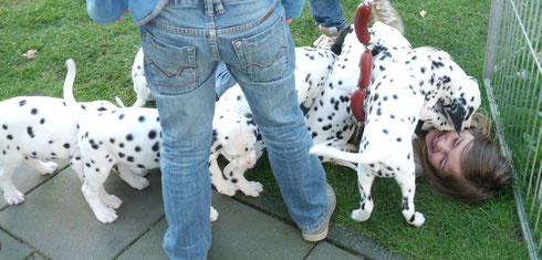 ...oder knutschen den Besuch ganz einfach zu Boden ;-)!