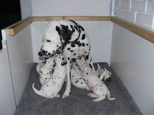 Emma und ihre "Big Five"