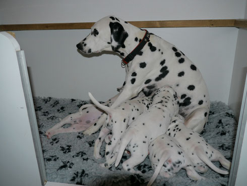 Umtrunk bei der Mama