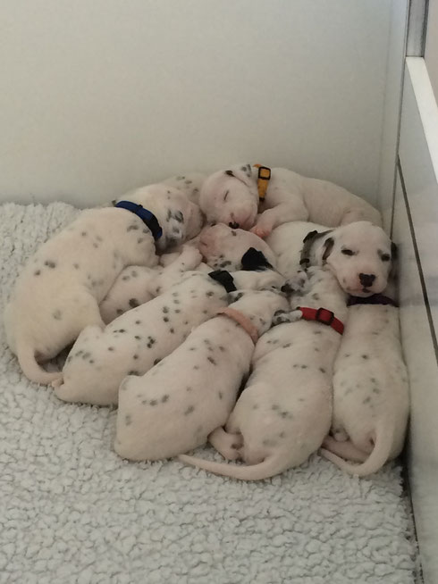 Kuschelstunde