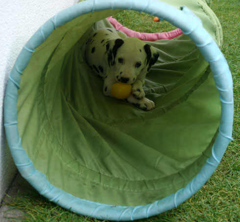 Frau Rot hat sich gleich erst mal einen Ball gemopst...