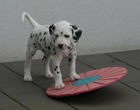Frau Grün testet das Balanceboard auf konservative Weise....