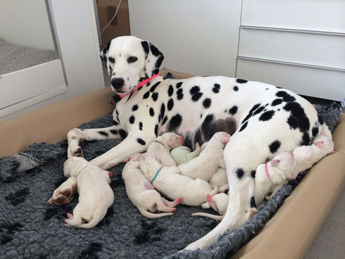 Die kleine Familie...