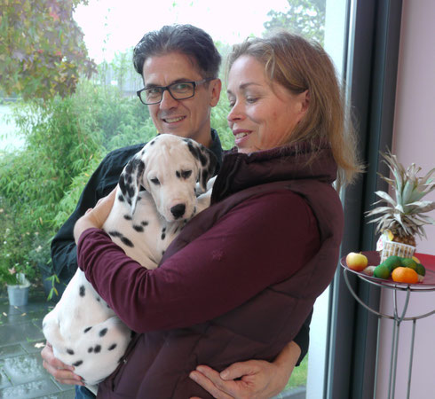 Sunnyboy Lila wird nun dort verwöhnt, wo auch wir unseren ersten Dalmatiner großgezogen haben: in Hilden