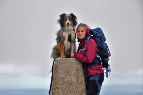 randonnée en ecosse, road trip scotland, voyager avec son chien, ben hope
