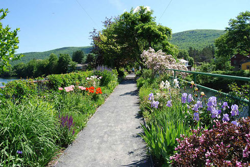 Iris and Poppies are in full bloom in this photo of the bridge