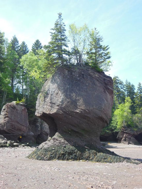 A View of the Mother-in-Law formation from Hopewell Rocks in the Bay of Fundy