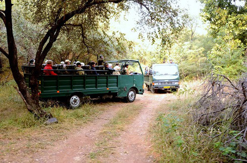 2013 Ranthambore Tiger Preserve - Waiting and Watching for Royal Bengal Tigers